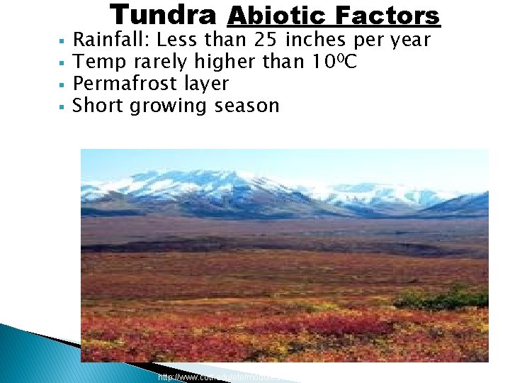 Tundra Abiotic Factors § § Rainfall: Less than 25 inches per year Temp rarely