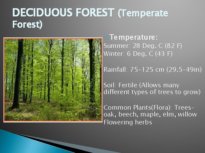 DECIDUOUS FOREST (Temperate Forest) � Temperature: Summer: 28 Deg. C (82 F) Winter: 6