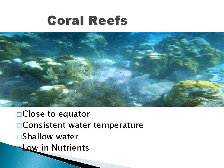 Coral Reefs � Close to equator � Consistent water temperature � Shallow water �