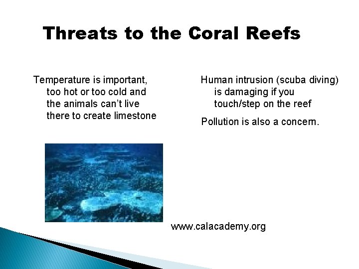 Threats to the Coral Reefs Temperature is important, too hot or too cold and