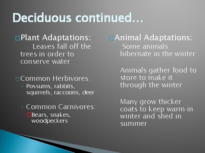 Deciduous continued… � Plant Adaptations: Leaves fall off the trees in order to conserve