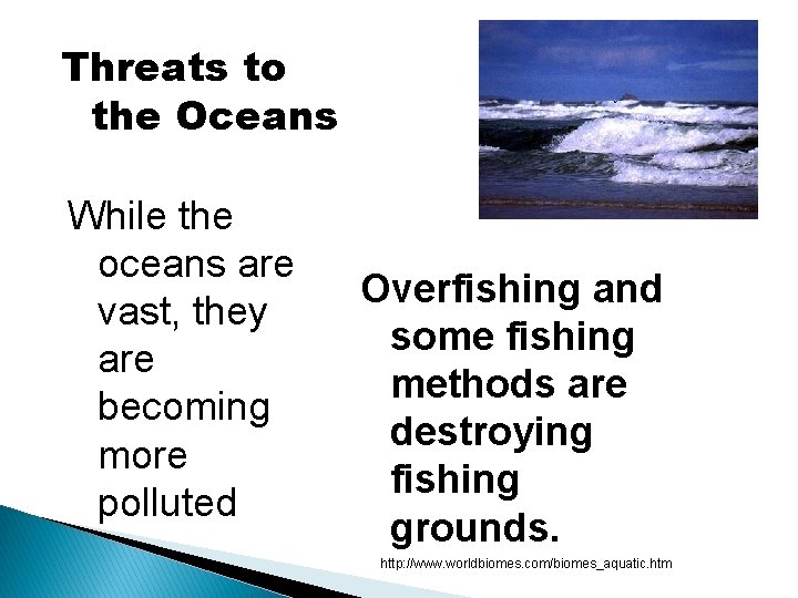 Threats to the Oceans While the oceans are vast, they are becoming more polluted