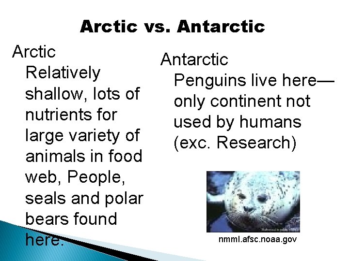 Arctic vs. Antarctic Relatively Penguins live here— shallow, lots of only continent not nutrients