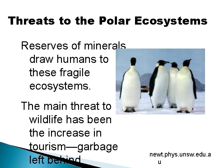Threats to the Polar Ecosystems Reserves of minerals draw humans to these fragile ecosystems.