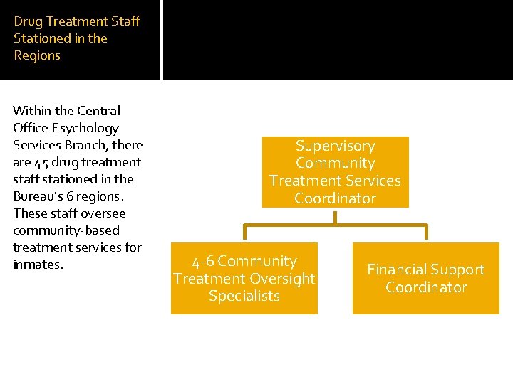 Drug Treatment Staff Stationed in the Regions Within the Central Office Psychology Services Branch,