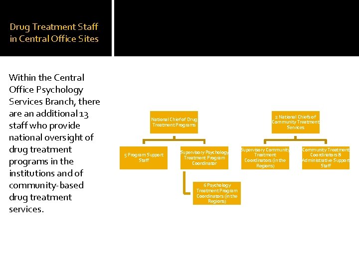 Drug Treatment Staff in Central Office Sites Within the Central Office Psychology Services Branch,