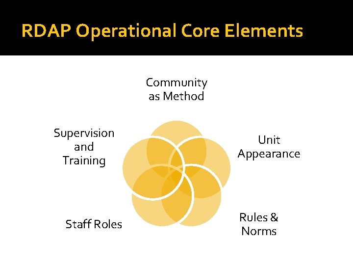 RDAP Operational Core Elements Community as Method Supervision and Training Staff Roles Unit Appearance