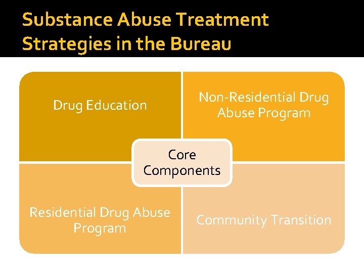 Substance Abuse Treatment Strategies in the Bureau Drug Education Non-Residential Drug Abuse Program Core