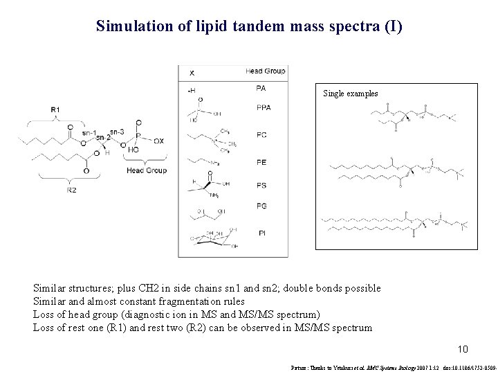 Simulation of lipid tandem mass spectra (I) Single examples Similar structures; plus CH 2