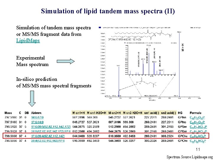 Simulation of lipid tandem mass spectra (II) Simulation of tandem mass spectra or MS/MS