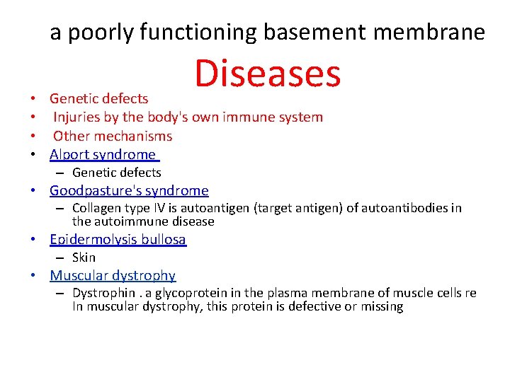 a poorly functioning basement membrane Diseases • Genetic defects • Injuries by the body's a poorly functioning basement membrane Diseases • Genetic defects • Injuries by the body's