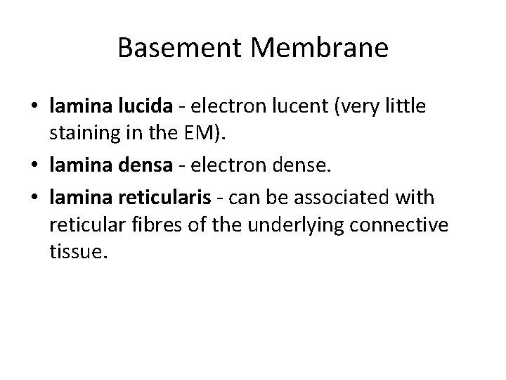 Basement Membrane • lamina lucida - electron lucent (very little staining in the EM). Basement Membrane • lamina lucida - electron lucent (very little staining in the EM).