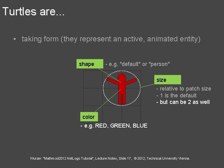 Turtles are. . . • taking form (they represent an active, animated entity) shape