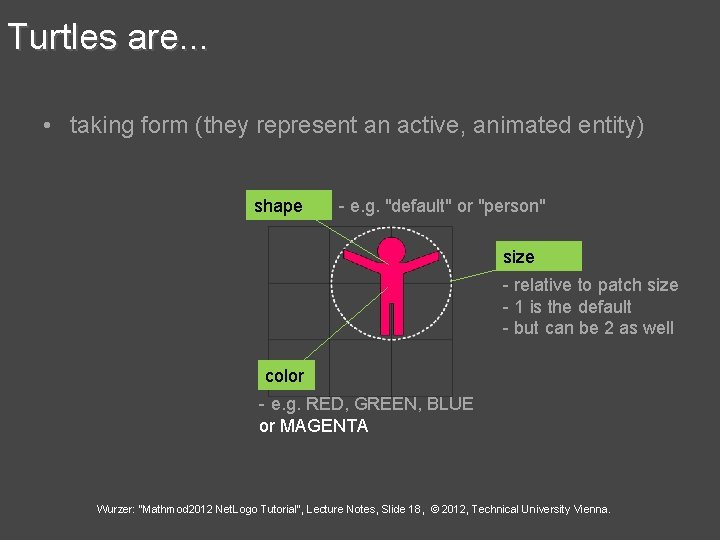 Turtles are. . . • taking form (they represent an active, animated entity) shape