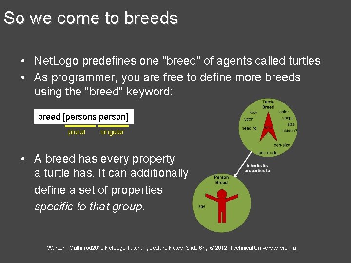 So we come to breeds • Net. Logo predefines one "breed" of agents called