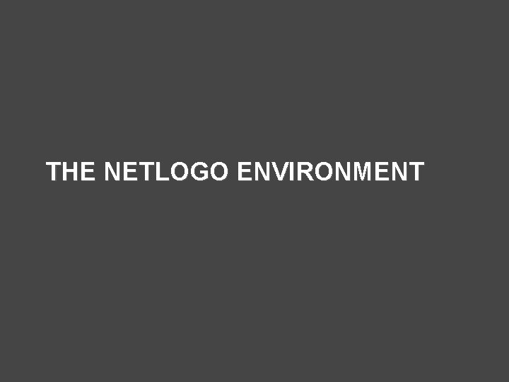 THE NETLOGO ENVIRONMENT 