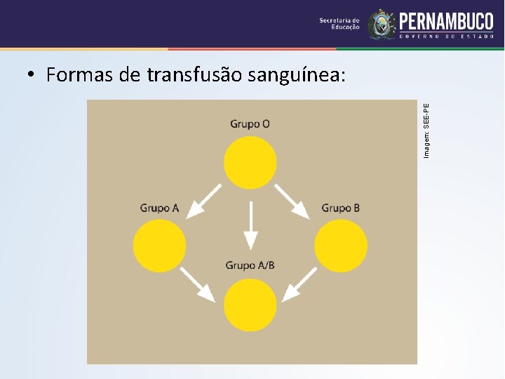 Imagem: SEE-PE • Formas de transfusão sanguínea: 