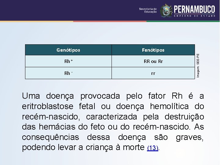 Fenótipos Rh + RR ou Rr Rh - rr Imagem: SEE-PE Genótipos Uma doença