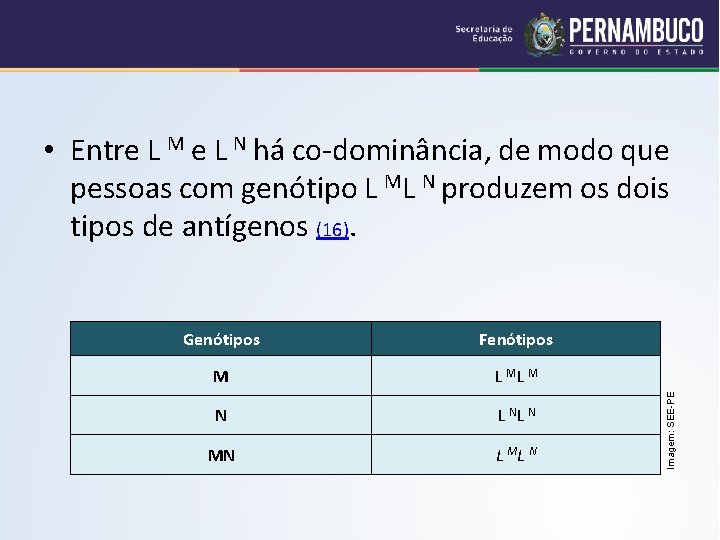 Genótipos Fenótipos M L ML M N L NL N MN L ML N