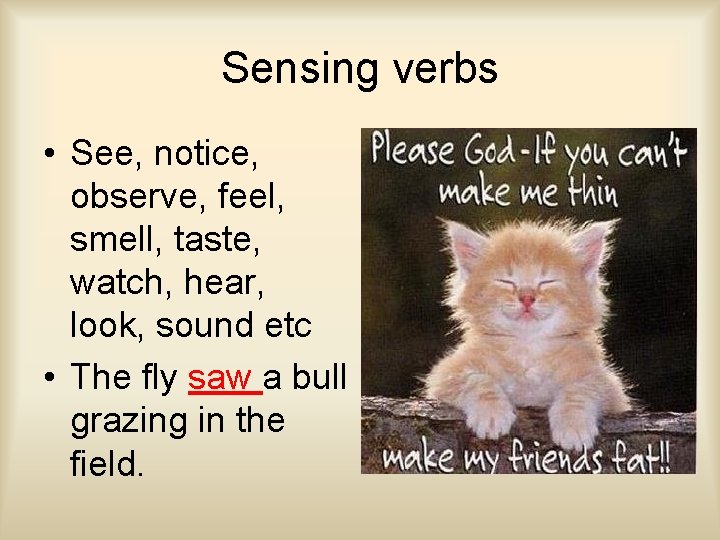 Sensing verbs • See, notice, observe, feel, smell, taste, watch, hear, look, sound etc