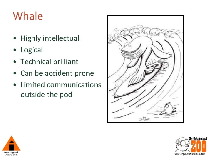 Whale • • • Highly intellectual Logical Technical brilliant Can be accident prone Limited