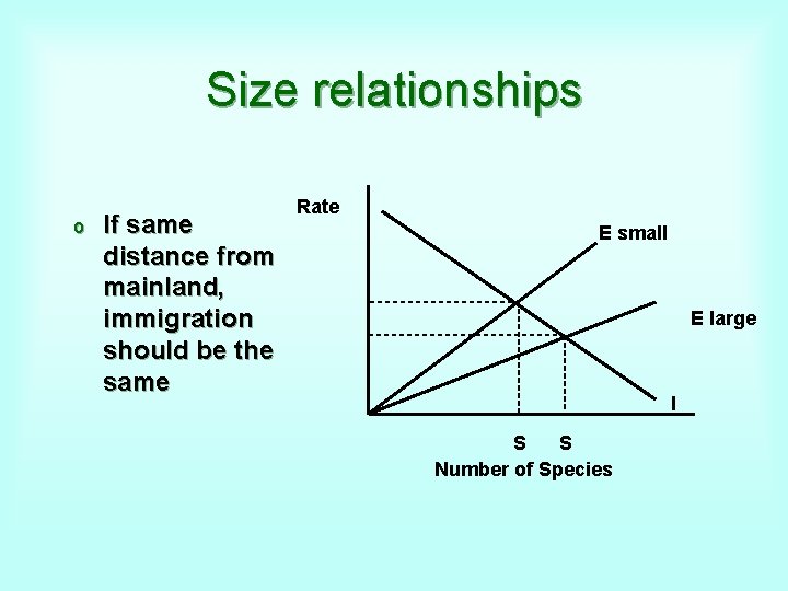 Size relationships o If same distance from mainland, immigration should be the same Rate