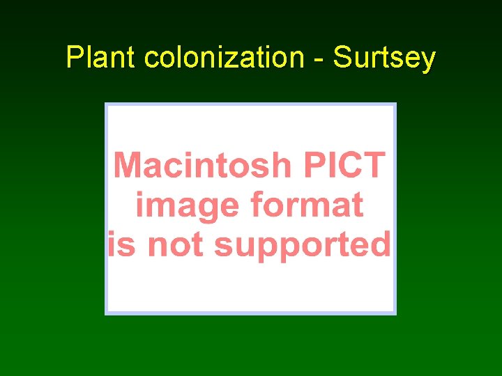 Plant colonization - Surtsey 