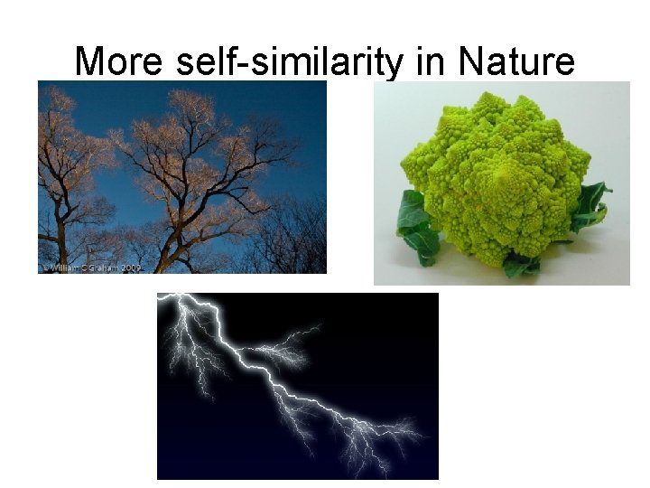 More self-similarity in Nature 