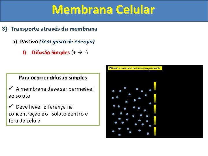 Membrana Celular 3) Transporte através da membrana a) Passivo (Sem gasto de energia) I)