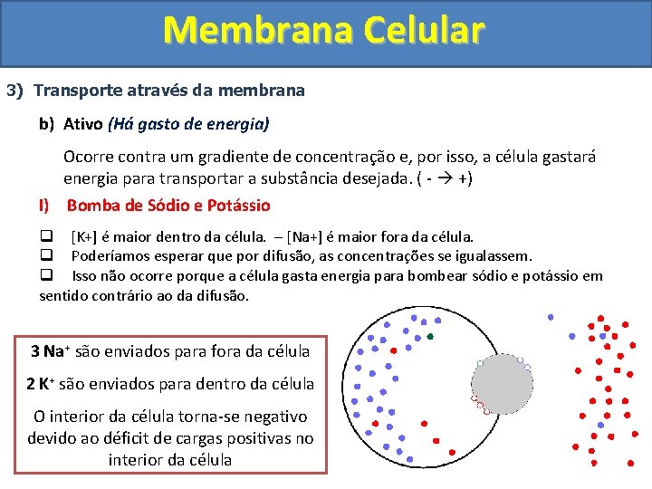 Membrana Celular 3) Transporte através da membrana b) Ativo (Há gasto de energia) Ocorre