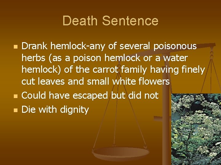 Death Sentence n n n Drank hemlock-any of several poisonous herbs (as a poison