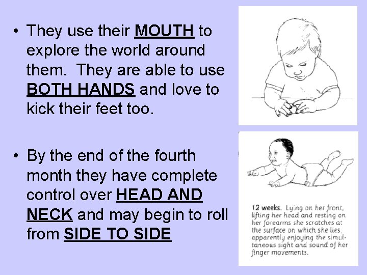  • They use their MOUTH to explore the world around them. They are