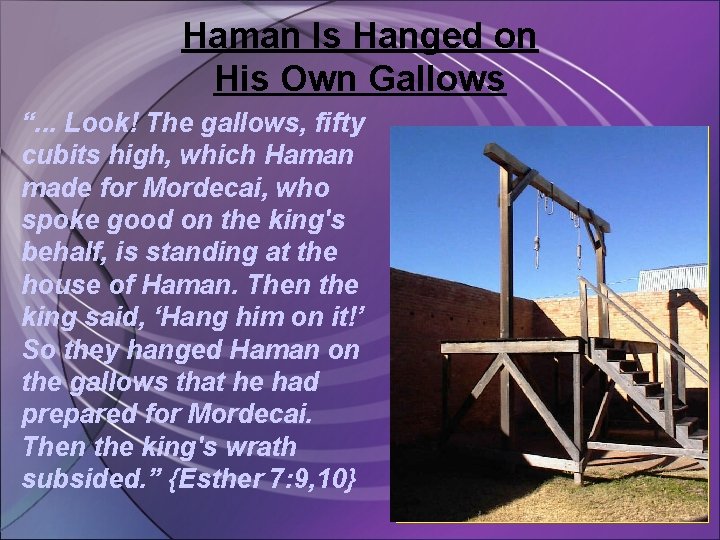 Haman Is Hanged on His Own Gallows “. . . Look! The gallows, fifty