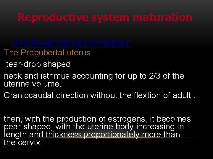 Reproductive system maturation UTERINE DEVELOPMENT The Prepubertal uterus tear-drop shaped neck and isthmus accounting