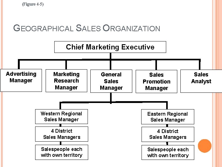 (Figure 4 -5) GEOGRAPHICAL SALES ORGANIZATION Chief Marketing Executive Advertising Manager Marketing Research Manager