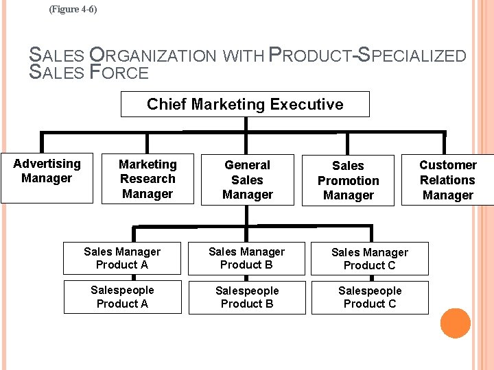 (Figure 4 -6) SALES ORGANIZATION WITH PRODUCT-SPECIALIZED SALES FORCE Chief Marketing Executive Advertising Manager