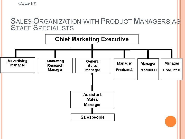 (Figure 4 -7) SALES ORGANIZATION WITH PRODUCT MANAGERS AS STAFF SPECIALISTS Chief Marketing Executive