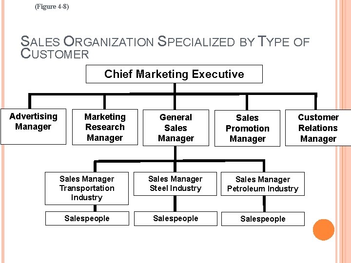(Figure 4 -8) SALES ORGANIZATION SPECIALIZED BY TYPE OF CUSTOMER Chief Marketing Executive Advertising