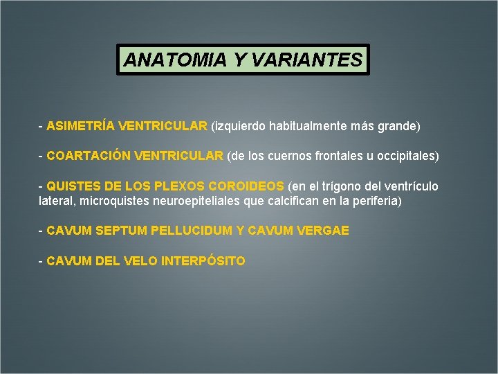 ANATOMIA Y VARIANTES - ASIMETRÍA VENTRICULAR (izquierdo habitualmente más grande) - COARTACIÓN VENTRICULAR (de