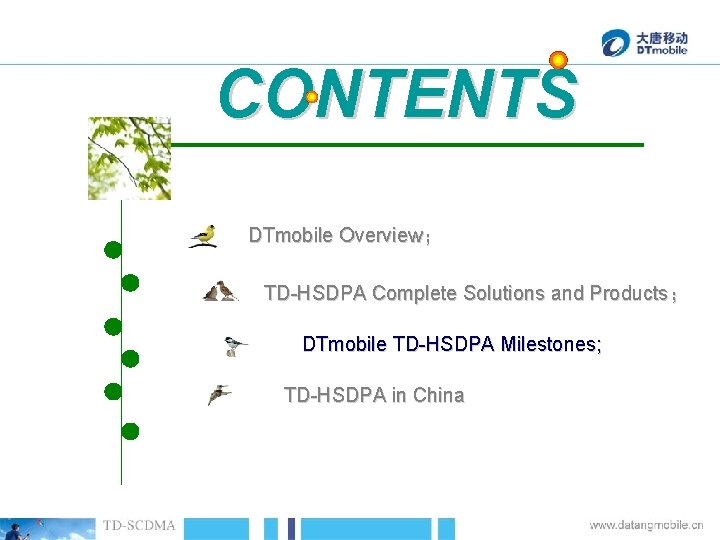 CONTENTS DTmobile Overview； TD-HSDPA Complete Solutions and Products； DTmobile TD-HSDPA Milestones; TD-HSDPA in China