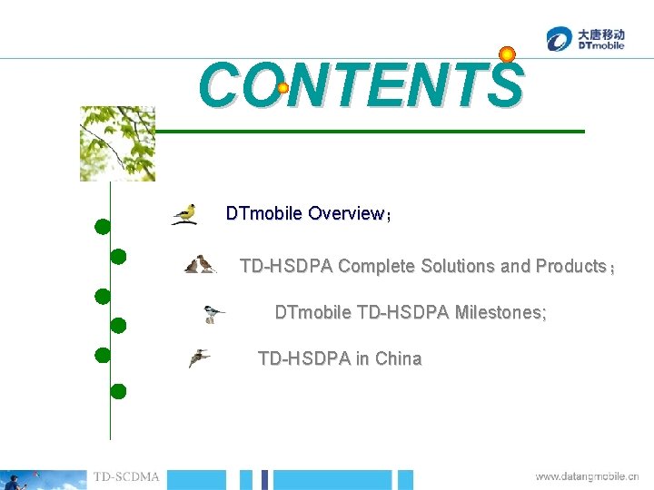 CONTENTS DTmobile Overview； TD-HSDPA Complete Solutions and Products； DTmobile TD-HSDPA Milestones; TD-HSDPA in China