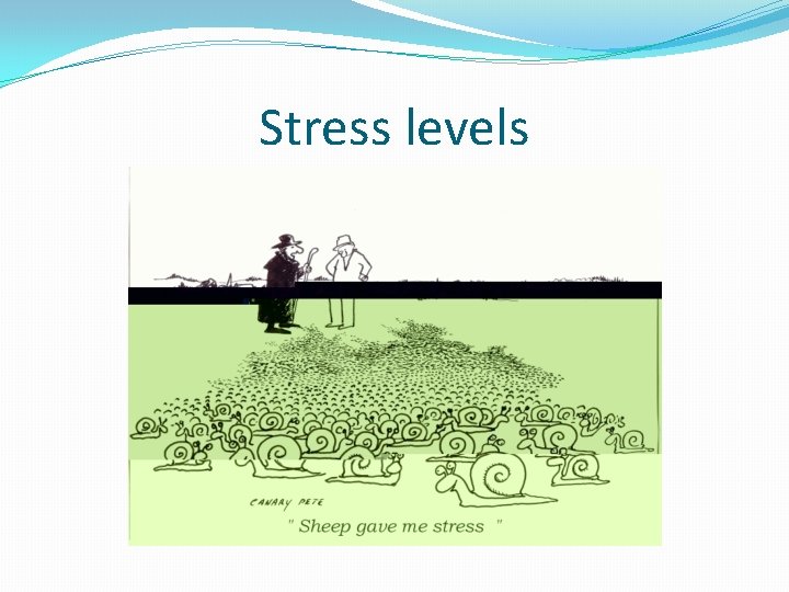 Stress levels 