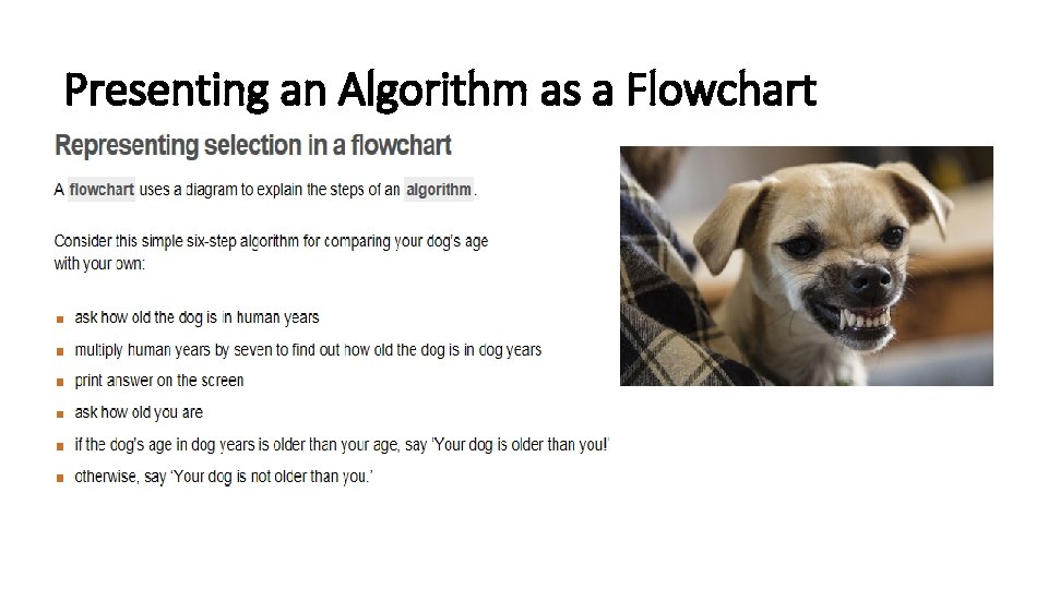 Presenting an Algorithm as a Flowchart 