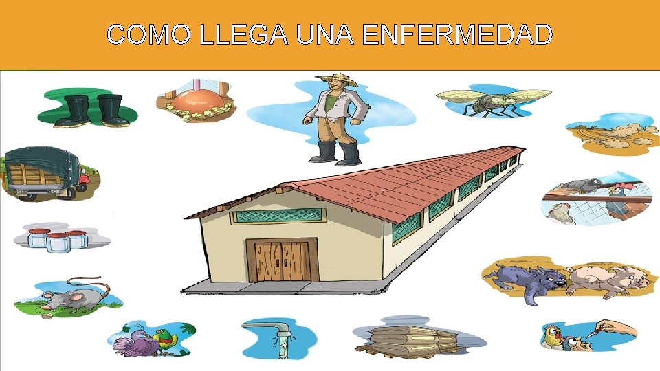 COMO LLEGA UNA ENFERMEDAD 