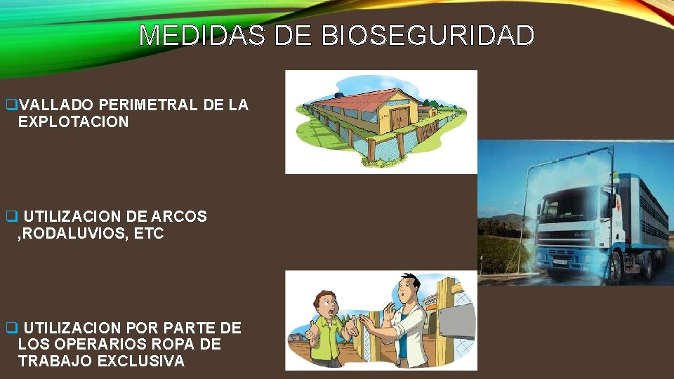 MEDIDAS DE BIOSEGURIDAD q. VALLADO PERIMETRAL DE LA EXPLOTACION q UTILIZACION DE ARCOS ,