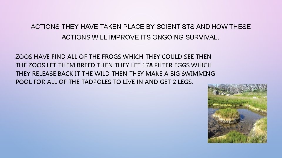 ACTIONS THEY HAVE TAKEN PLACE BY SCIENTISTS AND HOW THESE ACTIONS WILL IMPROVE ITS