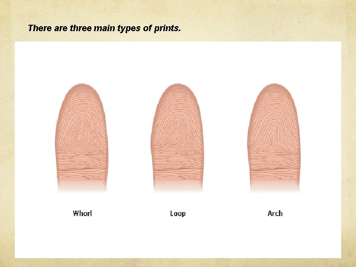 There are three main types of prints. 