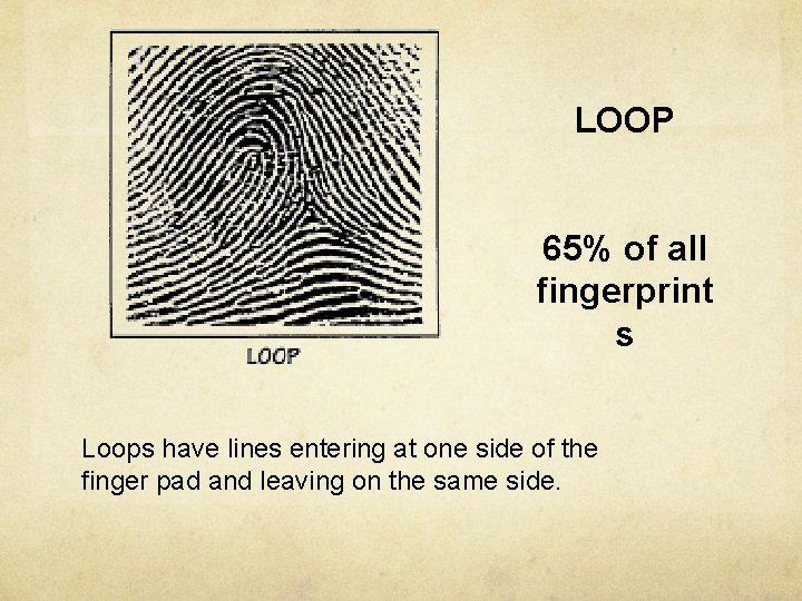 LOOP 65% of all fingerprint s Loops have lines entering at one side of