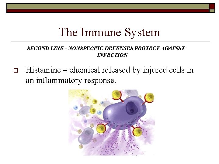 The Immune System SECOND LINE - NONSPECFIC DEFENSES PROTECT AGAINST INFECTION o Histamine – The Immune System SECOND LINE - NONSPECFIC DEFENSES PROTECT AGAINST INFECTION o Histamine –
