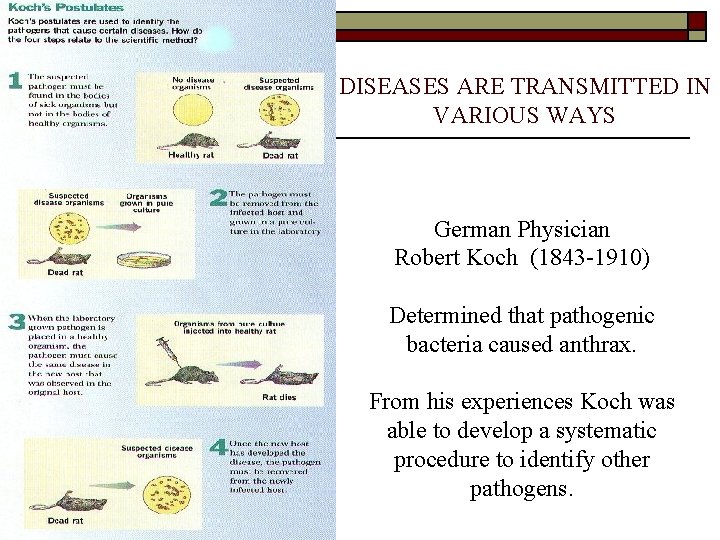 DISEASES ARE TRANSMITTED IN VARIOUS WAYS German Physician Robert Koch (1843 -1910) Determined that DISEASES ARE TRANSMITTED IN VARIOUS WAYS German Physician Robert Koch (1843 -1910) Determined that
